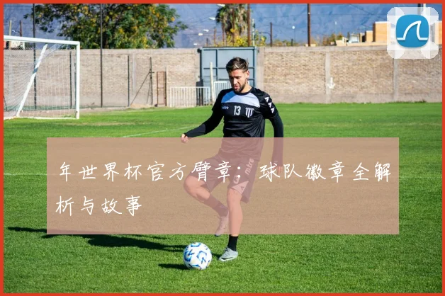 年世界杯官方臂章:球队徽章全解析与故事