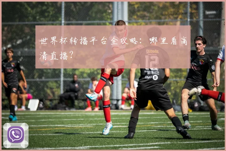 世界杯转播平台全攻略：哪里看高清直播？